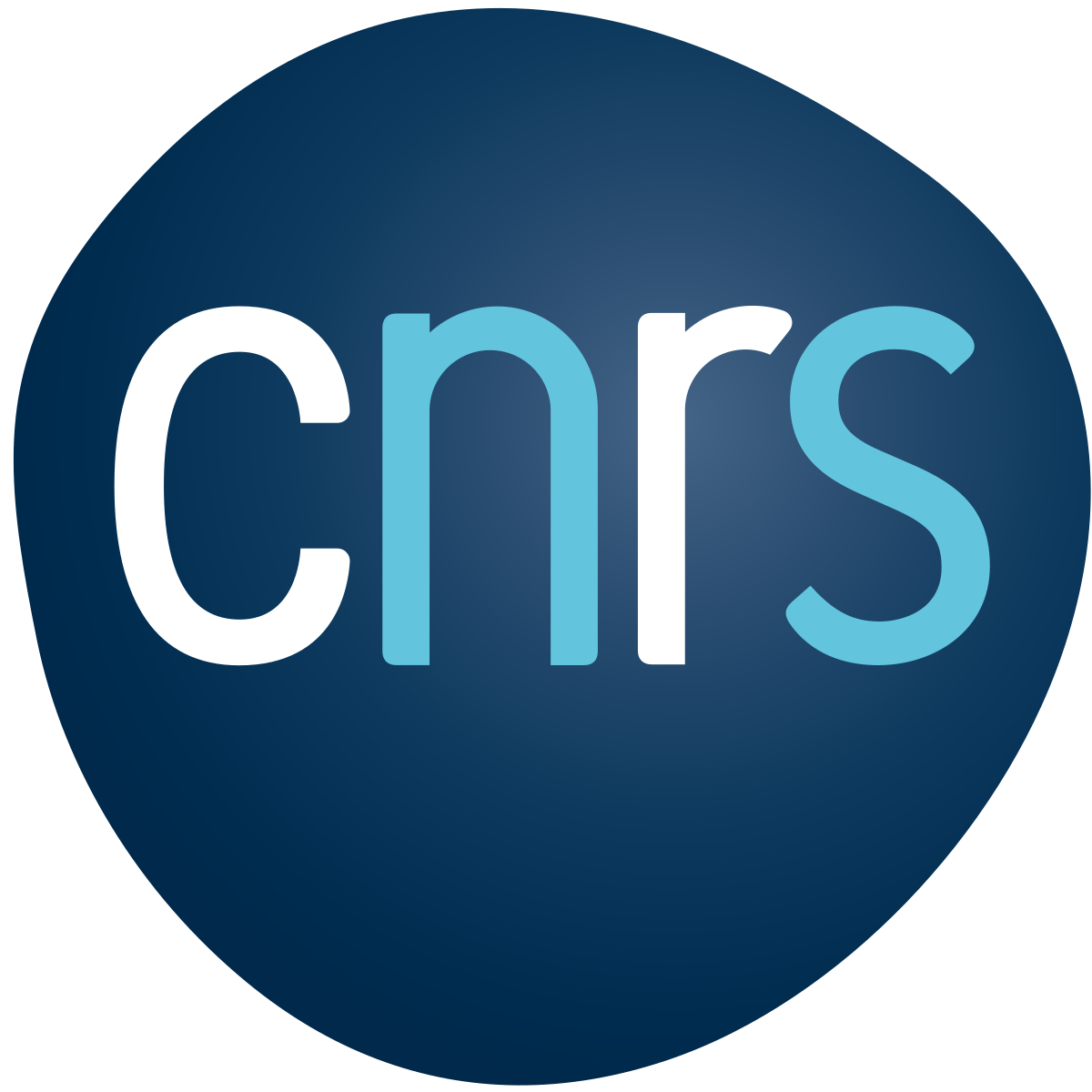 CNRS.svg